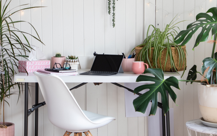 An office desk surrounded by plants